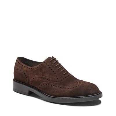 Zapato tipo inglés Wilson con perforaciones y cortes de suave piel gamuzada color cacao